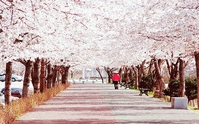 霸氣女生個性說說有時候與其多心不如少根筋